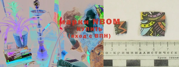 PSILOCYBIN Аркадак