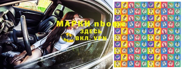 стафф Россошь