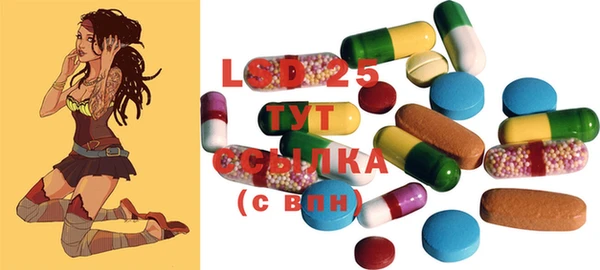 PSILOCYBIN Аркадак
