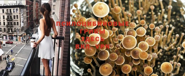 гашиш Арсеньев