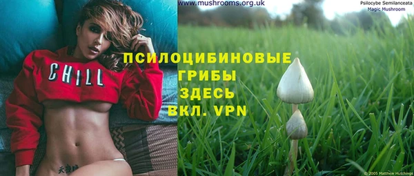 ГАЛЛЮЦИНОГЕННЫЕ ГРИБЫ Армянск