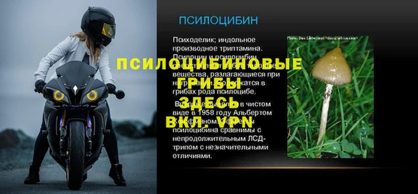 гашиш Арсеньев