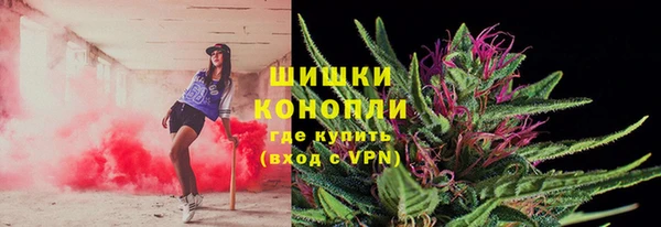 ГАЛЛЮЦИНОГЕННЫЕ ГРИБЫ Армянск